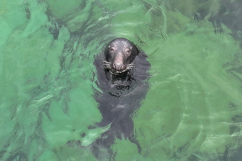 prises-de-vues-aeriennes-drone-2